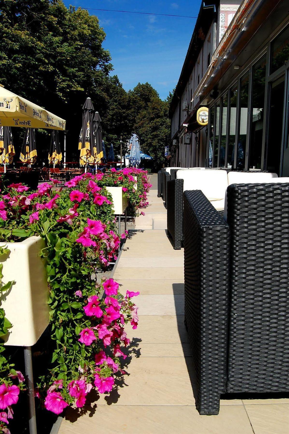 Hotel Tiski Cvet Novi Bečej 외부 사진